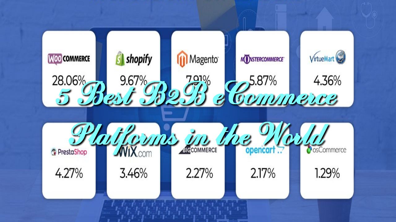 5 Best B2B eCommerce Platforms in the World